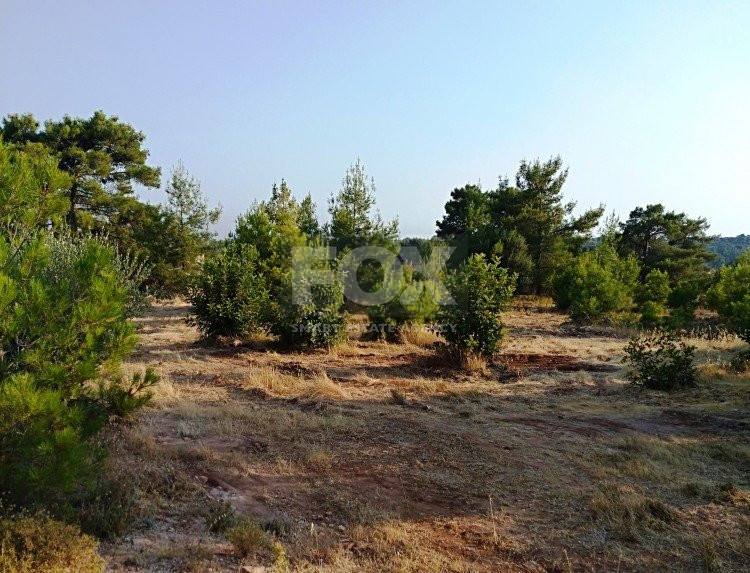 Land For Sale In Dora Limassol Cyprus