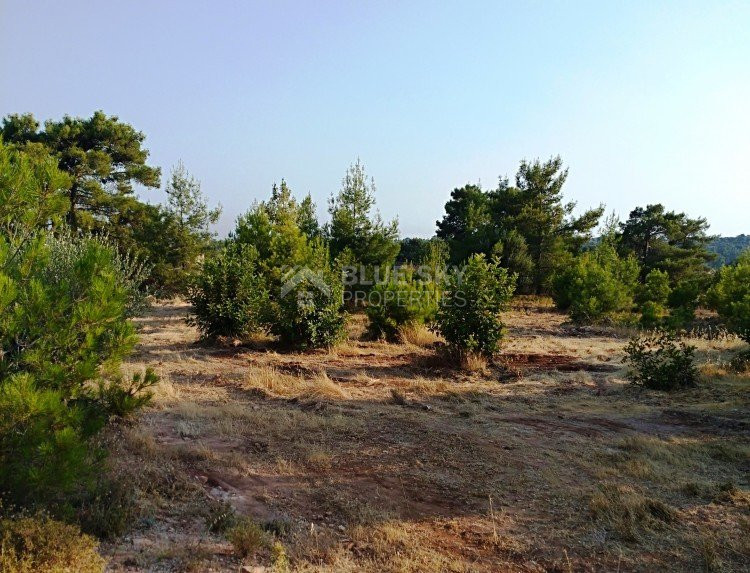 Land For Sale In Dora Limassol Cyprus