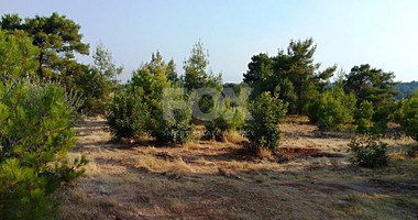 Land For Sale In Dora Limassol Cyprus