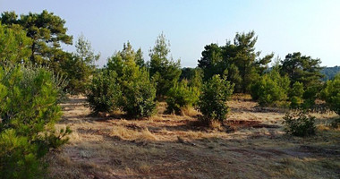 Land For Sale In Dora Limassol Cyprus