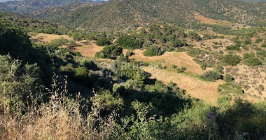 Land For Sale In Kapileio Limassol Cyprus