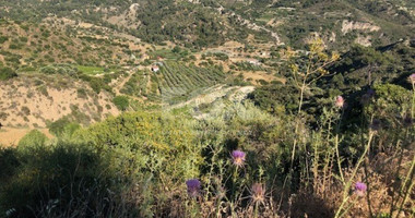 Land For Sale In Kapileio Limassol Cyprus