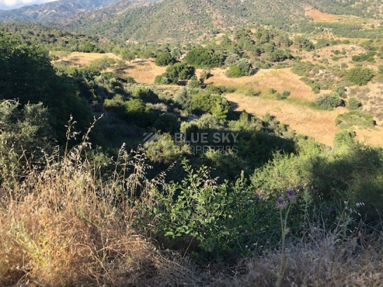 Land For Sale In Kapileio Limassol Cyprus