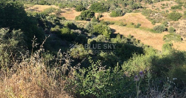 Land For Sale In Kapileio Limassol Cyprus