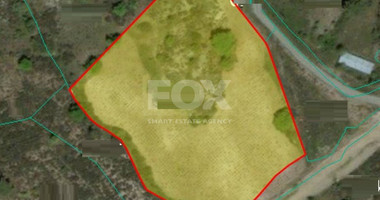 Land For Sale In Mandria Lemesou Limassol Cyprus
