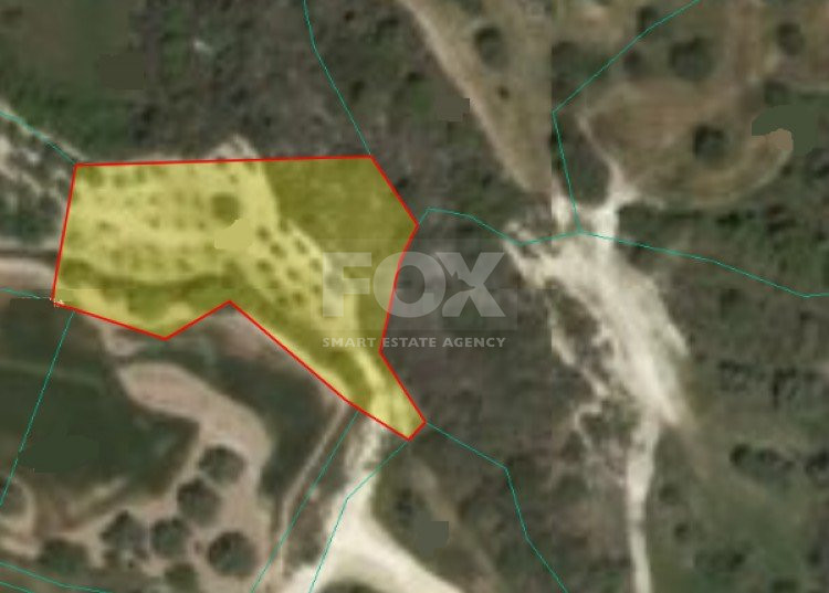 Land For Sale In Drouseia Paphos Cyprus