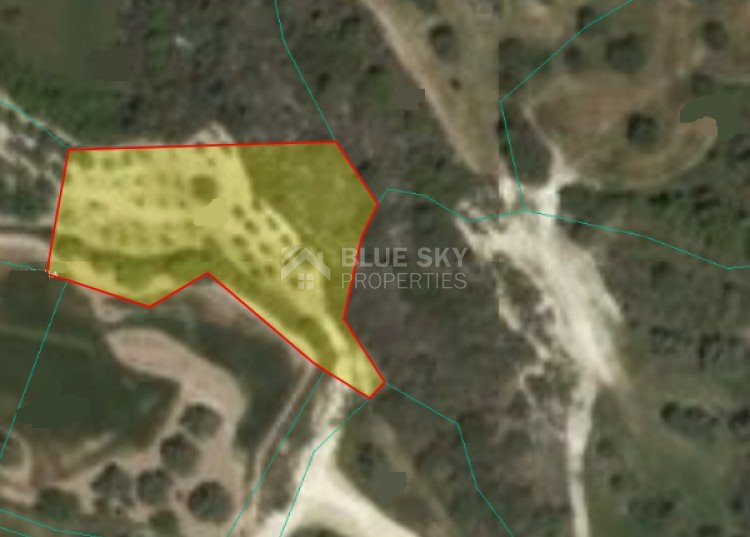 Land For Sale In Drouseia Paphos Cyprus