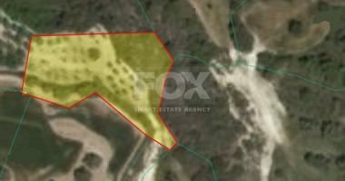 Land For Sale In Drouseia Paphos Cyprus