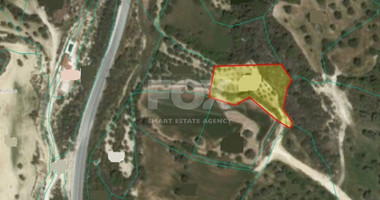 Land For Sale In Drouseia Paphos Cyprus