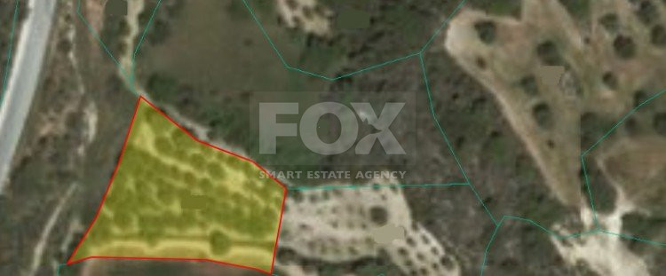 Land For Sale In Drouseia Paphos Cyprus