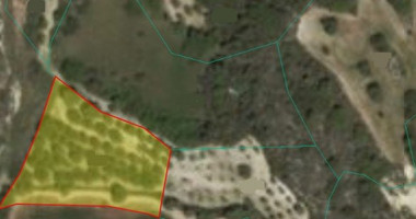 Land For Sale In Drouseia Paphos Cyprus
