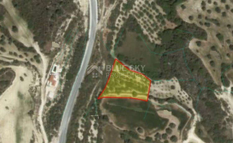 Land For Sale In Drouseia Paphos Cyprus