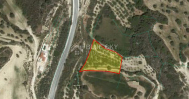 Land For Sale In Drouseia Paphos Cyprus