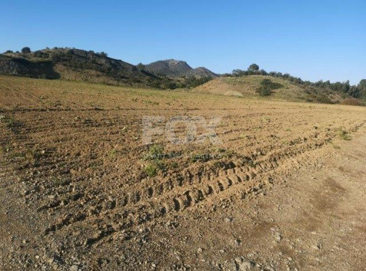 Land For Sale In Monagroulli Limassol Cyprus