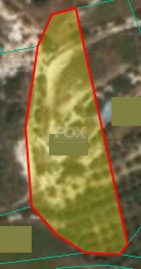 Land For Sale In Pissouri Limassol Cyprus