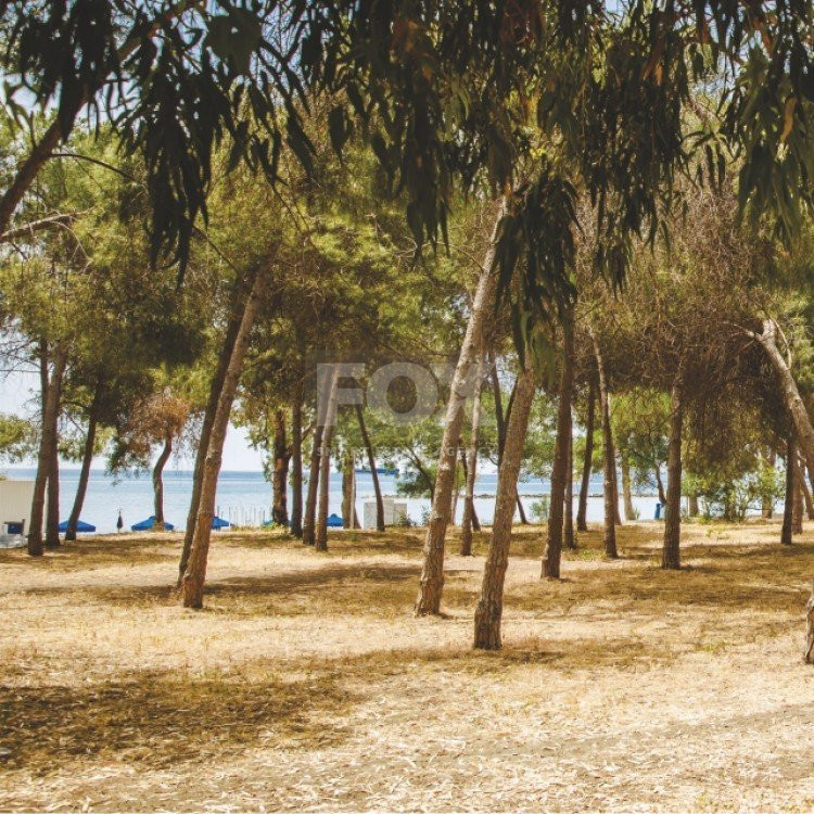 BEACHFRONT 3 Bed Apartment For Sale In Potamos Germasogeias Limassol Cyprus
