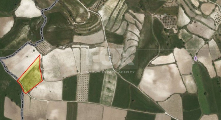 Land For Sale In Polemi Paphos Cyprus