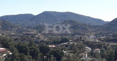Land For Sale In Kalo Chorio Lemesou Limassol Cyprus
