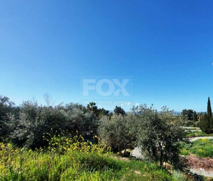 Land For Sale In Polis Chrysochou Paphos Cyprus