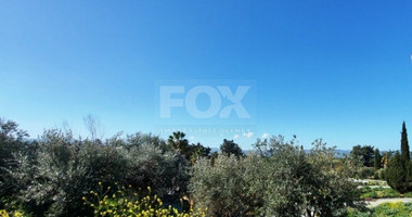 Land For Sale In Polis Chrysochou Paphos Cyprus