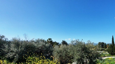 Land For Sale In Polis Chrysochou Paphos Cyprus