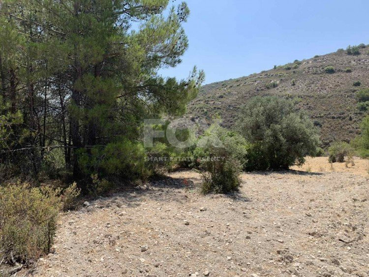 Land For Sale In Gerasa Limassol Cyprus