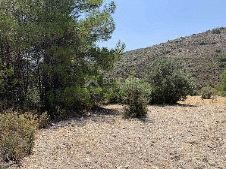 Land For Sale In Gerasa Limassol Cyprus