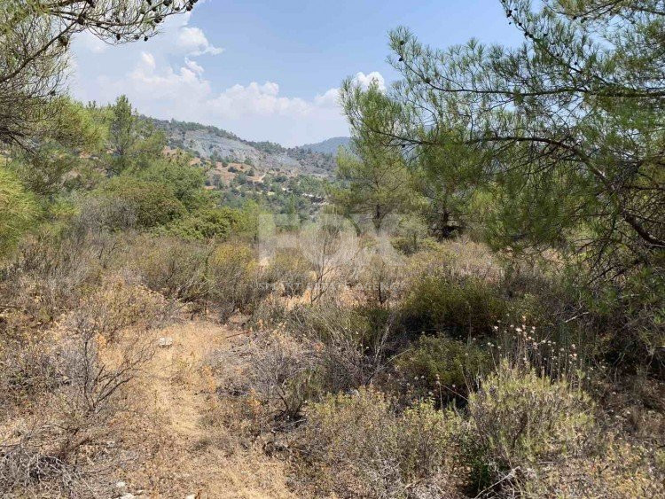 Land For Sale In Gerasa Limassol Cyprus