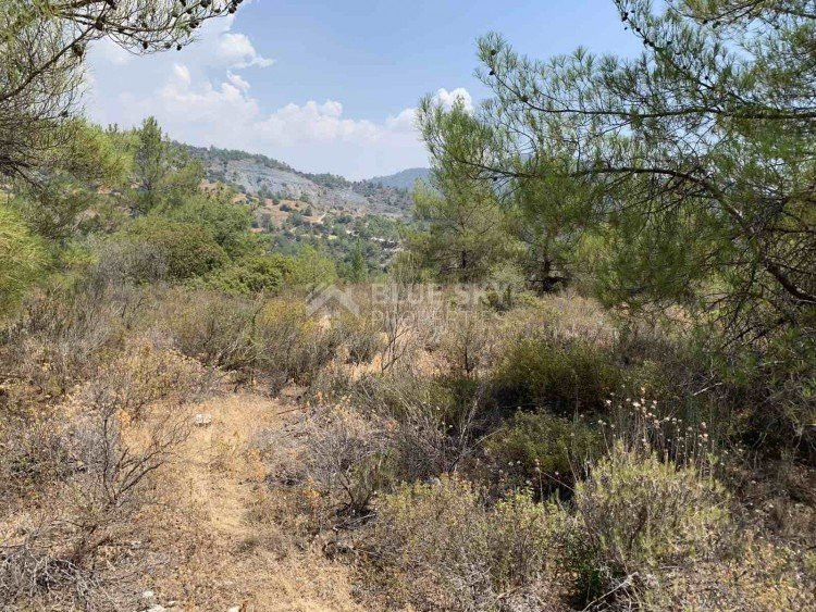 Land For Sale In Gerasa Limassol Cyprus