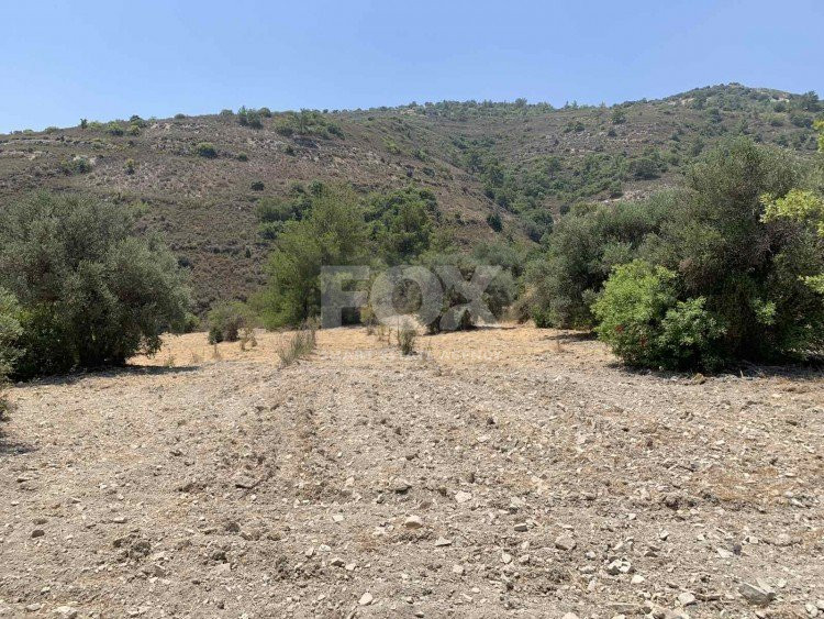 Land For Sale In Gerasa Limassol Cyprus