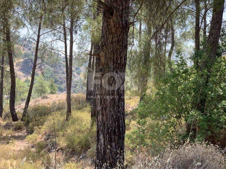 Land For Sale In Gerasa Limassol Cyprus