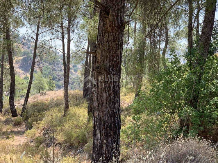 Land For Sale In Gerasa Limassol Cyprus