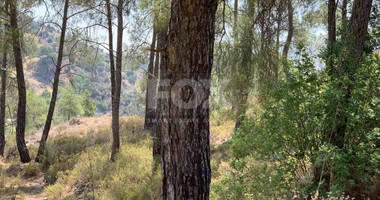 Land For Sale In Gerasa Limassol Cyprus