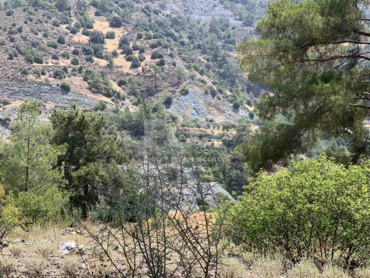 Land For Sale In Gerasa Limassol Cyprus