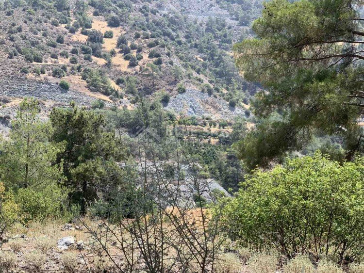 Land For Sale In Gerasa Limassol Cyprus