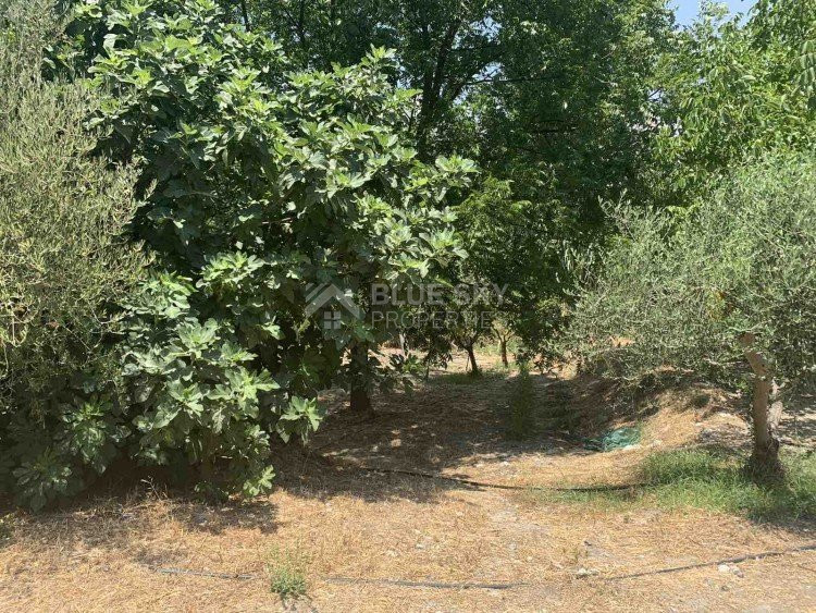 Land For Sale In Gerasa Limassol Cyprus