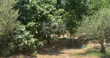 Land with Old Olive Mill Building For Sale In Gerasa Limassol