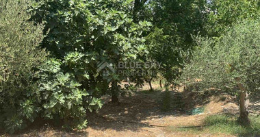 Land For Sale In Gerasa Limassol Cyprus