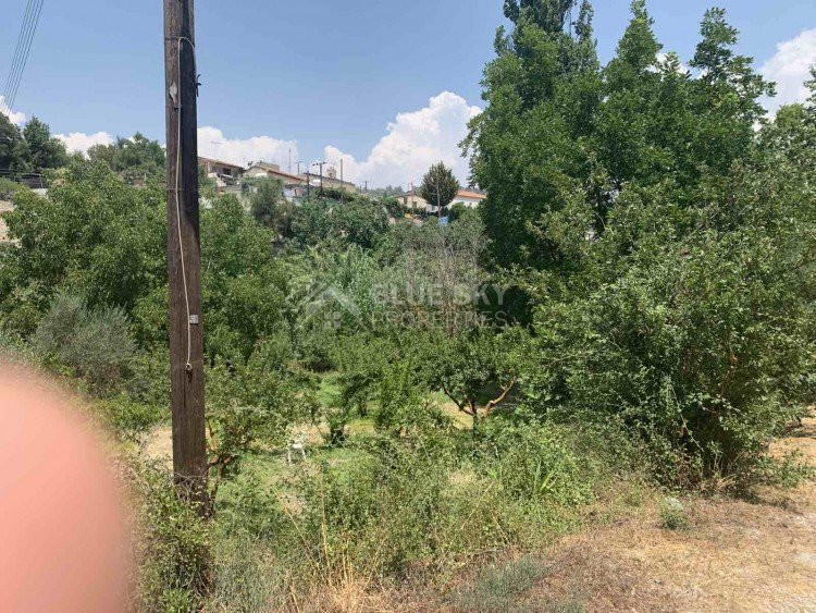 Land For Sale In Gerasa Limassol Cyprus