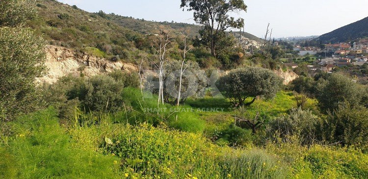 Land For Sale In Kalavasos Larnaca Cyprus