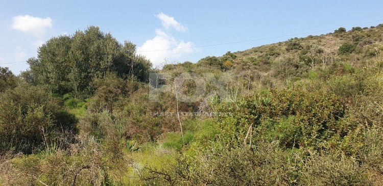 Land For Sale In Kalavasos Larnaca Cyprus