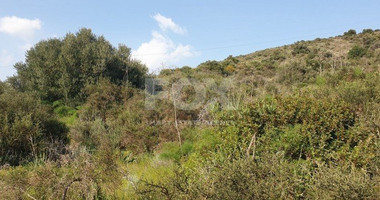 Land For Sale In Kalavasos Larnaca Cyprus