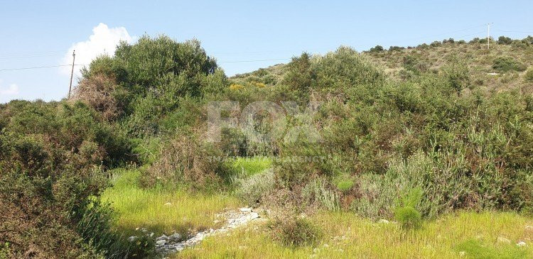 Land For Sale In Kalavasos Larnaca Cyprus