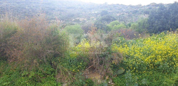 Land For Sale In Kalavasos Larnaca Cyprus