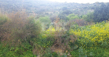 Land For Sale In Kalavasos Larnaca Cyprus