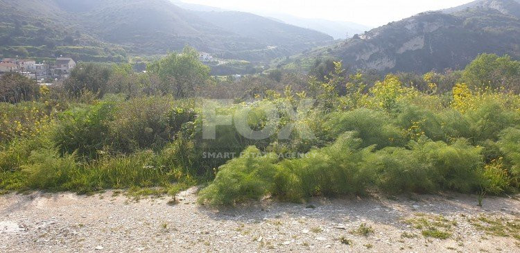 Land For Sale In Kalavasos Larnaca Cyprus