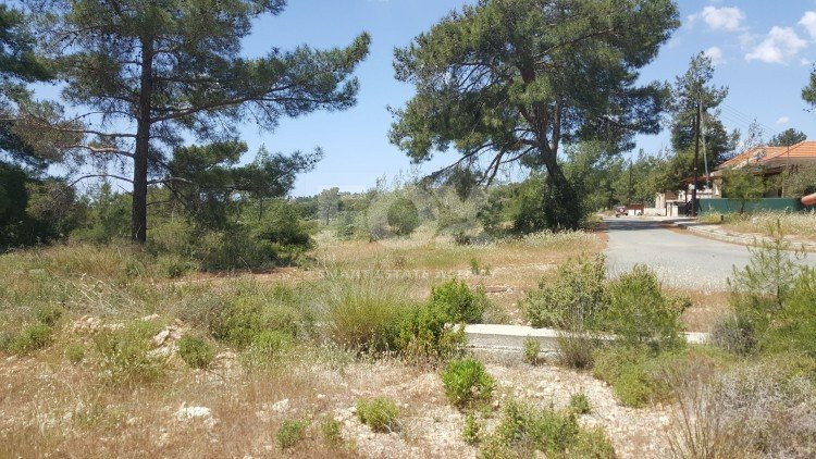 Plot For Sale In Souni Zanakia Limassol Cyprus