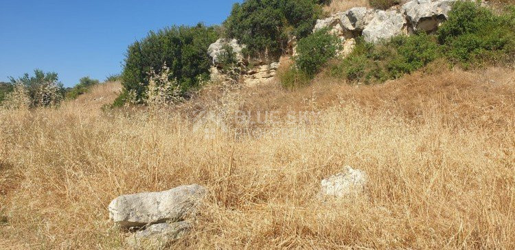 Land For Sale In Fasoula Lemesou Limassol Cyprus