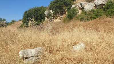 Land For Sale In Fasoula Lemesou Limassol Cyprus