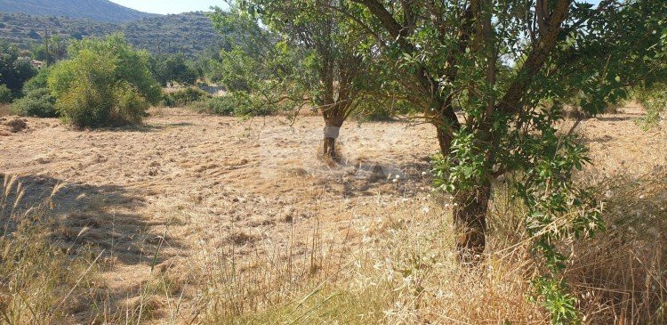 Land For Sale In Fasoula Lemesou Limassol Cyprus